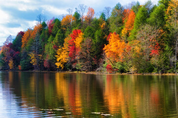 Autumn Colors Along the Shore of Bays Mountain Lake