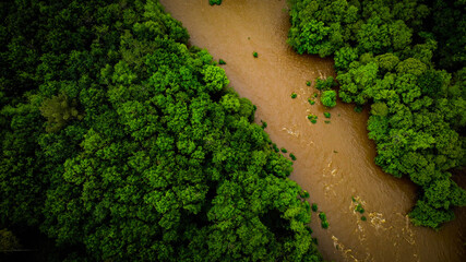 Rio Ulla o Amazonas