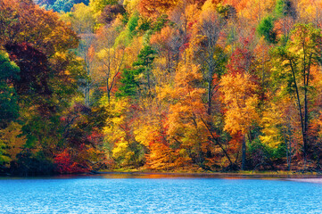 Autumn Colors Along the Shore of Bays Mountain Lake