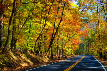 Autumn Colors along a road