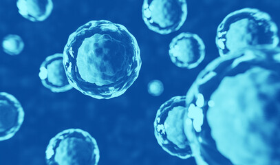 Stammzellen unter dem Mikroskop