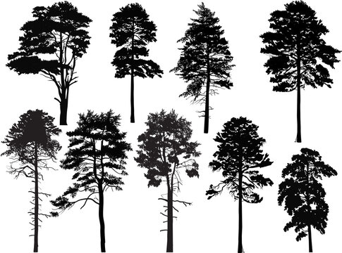 nine black trees set isolated on white
