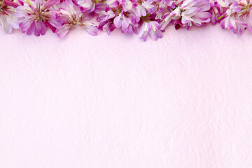 ピンクの和紙にのせたレンゲソウ