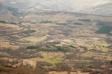 Areial view of fields and grasslands with pine trees and beautiful old farms and houses during late autumn