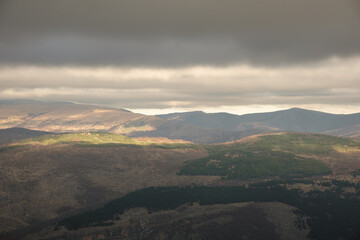 Beautiful patches of light on a hills and valleys of a rocky mountain fields covered by pine trees and dark, moody sky