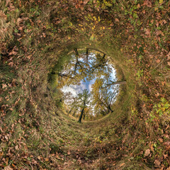 tiny planet transformation of spherical panorama 360 degrees. Spherical abstract aerial view in oak...