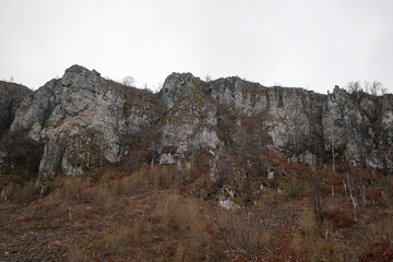 Impressive rocky cliff covered by colorful moss and autumn colored plants in front and at the top
