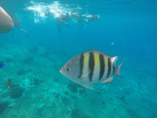 DCIM\101GOPRO\GOPR3864.