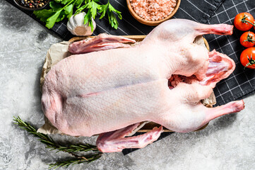 Whole raw goose. Recipe for cooking with pink salt, garlic, parsley and rosemary. Gray background. Top view
