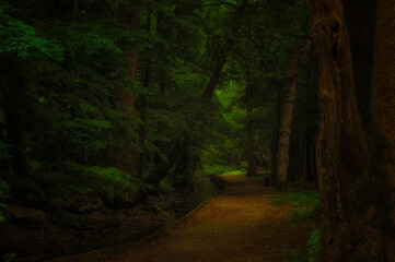 Obraz premium Shady Trail in Cades Cove Valley in The Tenneessee Smoky Mountains