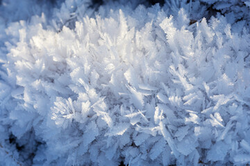 Winter, frost in large flakes and crystals lies on the grass and branches in the light of the evening sun, background.