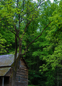 Templeton homestead in Cades Cove Valley, Smoky Mountains Tennessee