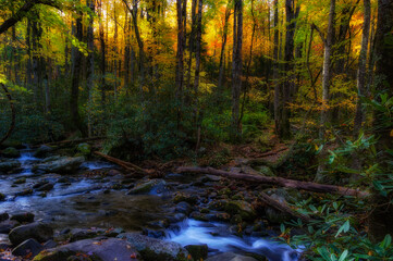 Roaring Fork Motor Trail in the Smokey Mountains