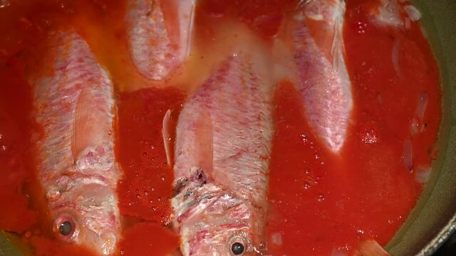 Scenes of life at home: cooking the mullets in sauce, tilt movement on the pan where the mullets are immersed in the hot red sauce.