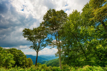 Fototapeta na wymiar Great Smoky Mountins National Park in summer