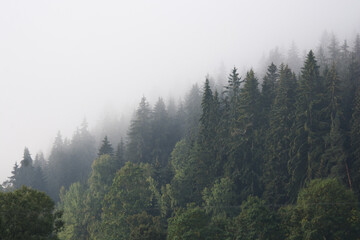 fog in the mountains