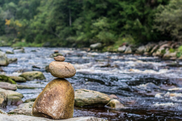 small river in the forest