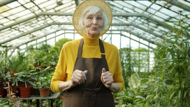 Portrait of senior lady vlogger recording video in greenhouse holding pot plants speaking and gesturing sharing experience and advice online