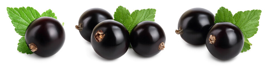 black currant with leaves isolated on white background with clipping path and full depth of field. Set or collection