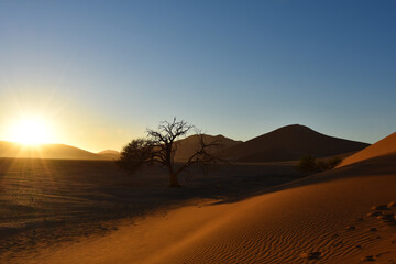 Fototapeta na wymiar Beautiful Sunrise at Sossusvlei, Namibia