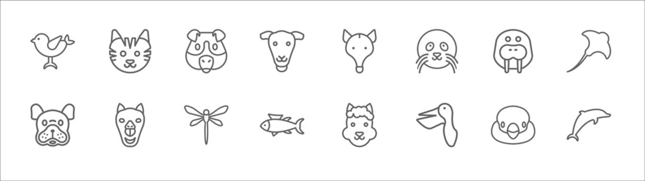 Outline Set Of Animals Line Icons. Linear Vector Icons Such As Cat, Guinea Pig Heag, Ant Eater, Sea Cow, Manta Ray, Bulldog, Camel, Dragonflay, Tuna, Pelican, Dolphin Jumping