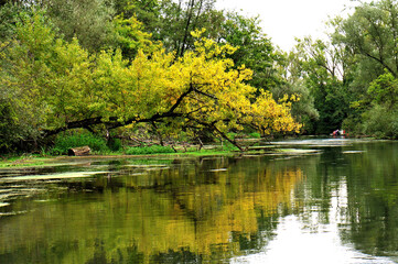 Taubergiessen nature reserve on the Old Rhine - Naturschutzgebiet Taubergiessen