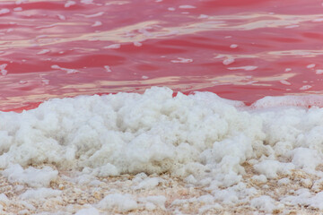 Fototapeta na wymiar Surface of the pink salty Syvash lake in Kherson region, Ukraine. Natural background, texture