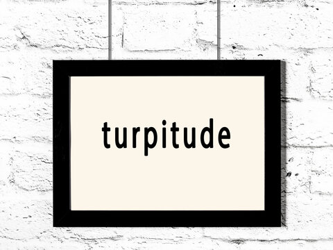 Black frame hanging on white brick wall with inscription turpitude