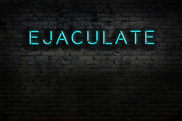 Night view of neon sign on brick wall with inscription ejaculate - obrazy, fototapety, plakaty
