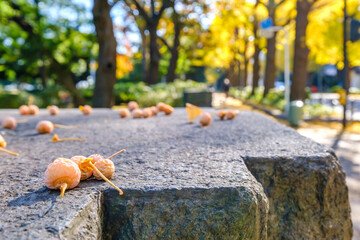 【横浜 山下公園付近】イチョウの並木道