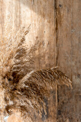 golden beige pampas grass stands in a glass vase on a wooden background in the rays of the setting sun, monochrome concept. Natural abstract background and frame