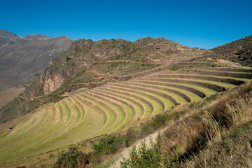 Fototapeta na wymiar Inca plantations