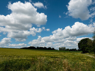 Ein Sommertag