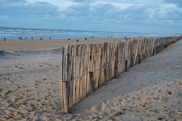 Sand fence on wide windy beach of North sea near Zandvoort in Netherlands