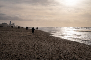 Fototapeta na wymiar Winter walking on wide sandy beach of North sea near Zandvoort in Netherlands