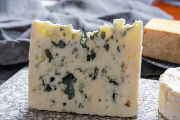 Cheese collection, French semi hard Roquefort blue cheese made from sheep milk in region Roquefort-sur-Soulzon, France