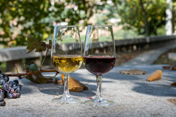 Outdoor tasting of different fortified port wines in glasses in sunny autumn, Douro Valley, Portugal