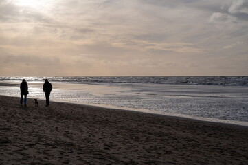 Fototapeta na wymiar Winter walking on wide sandy beach of North sea near Zandvoort in Netherlands