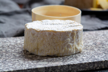 Cheese collection, French soft Camembert of Normandy cheese made from cow milk in region Normandy, France
