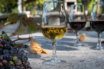 Outdoor tasting of different fortified port wines in glasses in sunny autumn, Douro Valley, Portugal