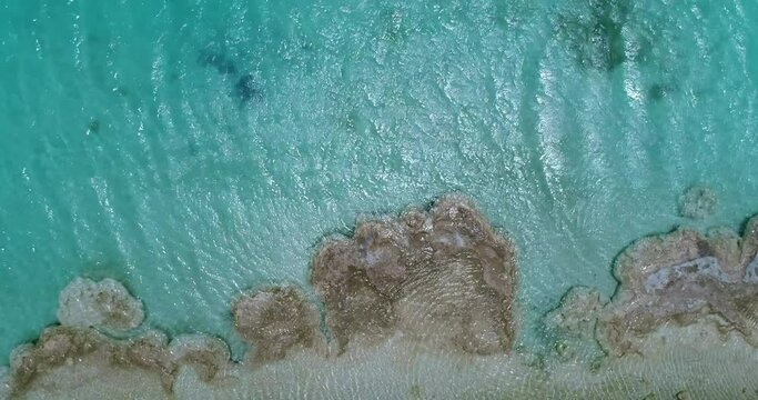 Los estromatolitos de Bacalar son una de las formas de vida m&aacute;s antiguas en el planeta y un tesoro natural casi &uacute;nico en el planeta.