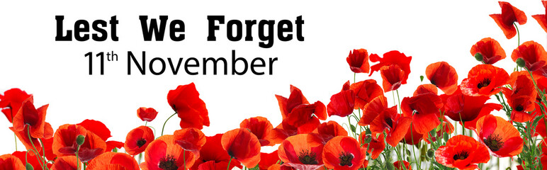 Fototapeta na wymiar Remembrance day banner. Red poppy flowers and text Lest We Forget 11th November on white background