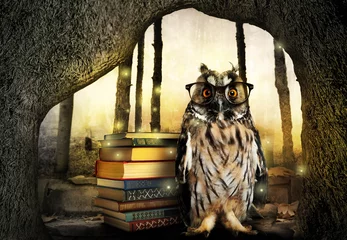 Raamstickers Beautiful wise owl near books in fantasy world © New Africa