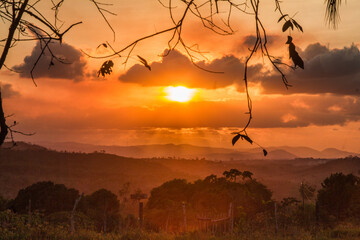 Naklejka premium Por do sol com nuvens e galhos