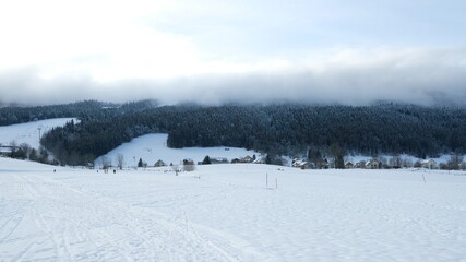 Paysage avec de la neige à la montagne