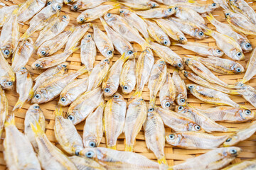 Dried Seafood Shanya Dried Fish