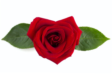 Heart shape Red rose flower on white