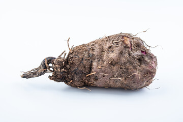 Fresh purple sweet potato on white background