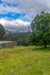 Distant Mountains vert