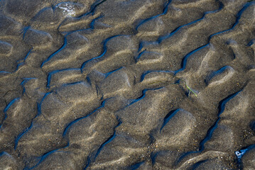 Rippled wet sand in shades of gray as a nature background
